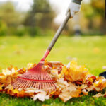 Tipps für die Gartenarbeit