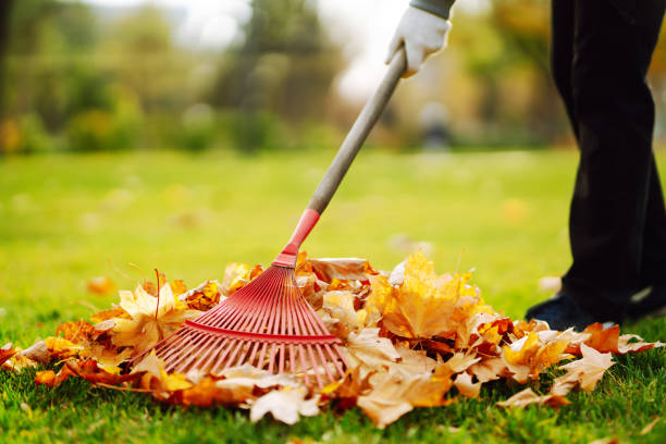 Tipps für die Gartenarbeit