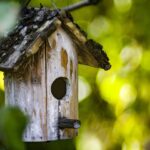 Vogelhäuschen im privaten Garten