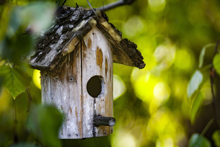 Vogelhäuschen im privaten Garten